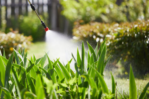 24/7 Emergency Mosquito Control experts in Byron, CA
